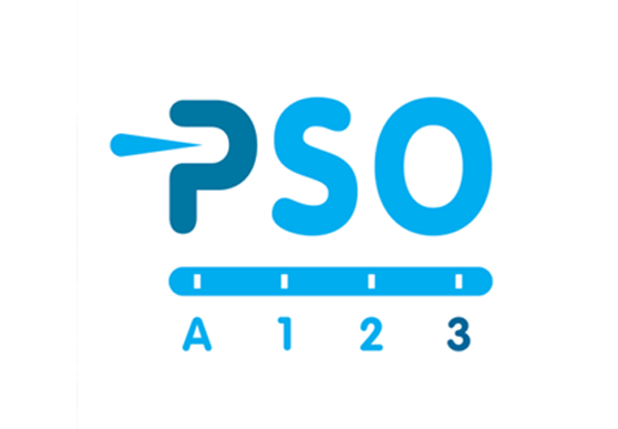 PSO sociaal ondernemerschap