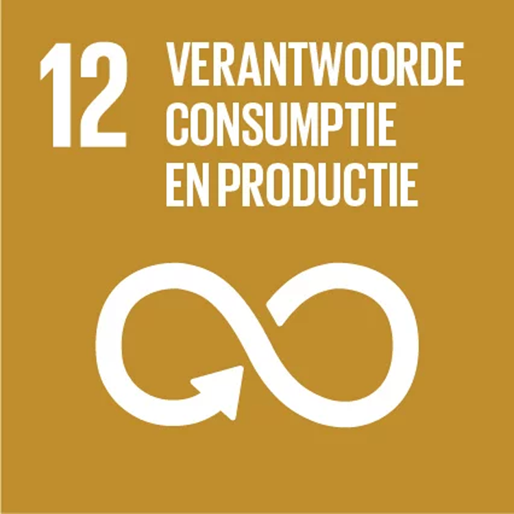 SDG doel 12