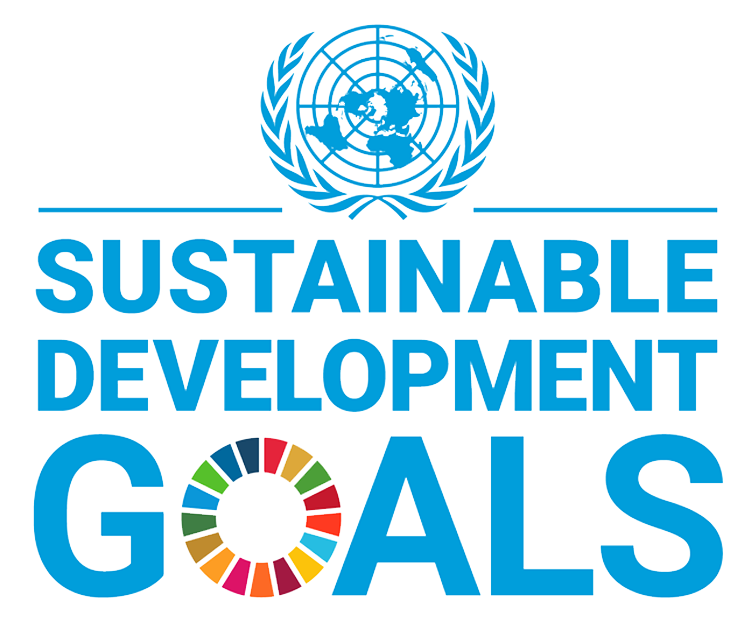 SDG logo